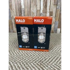 Set of 2 Halo Caged Incandescent Lights